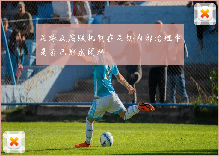 足球反腐败机制在足协内部治理中是否已形成闭环