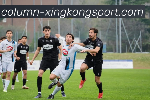 星空体育平台生态图