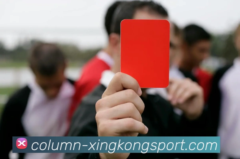 星空体育APP 封面图